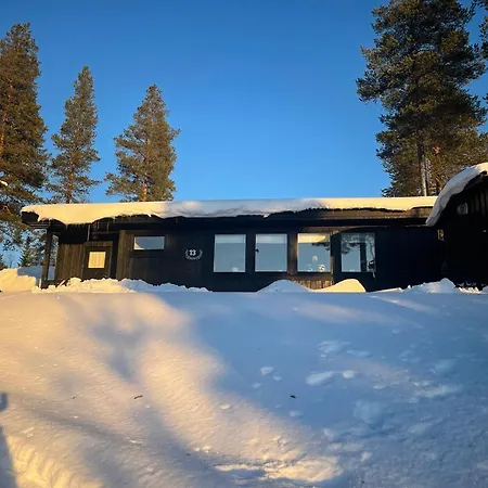 1125 Fjaellstugan Lofsdalen Exterior photo