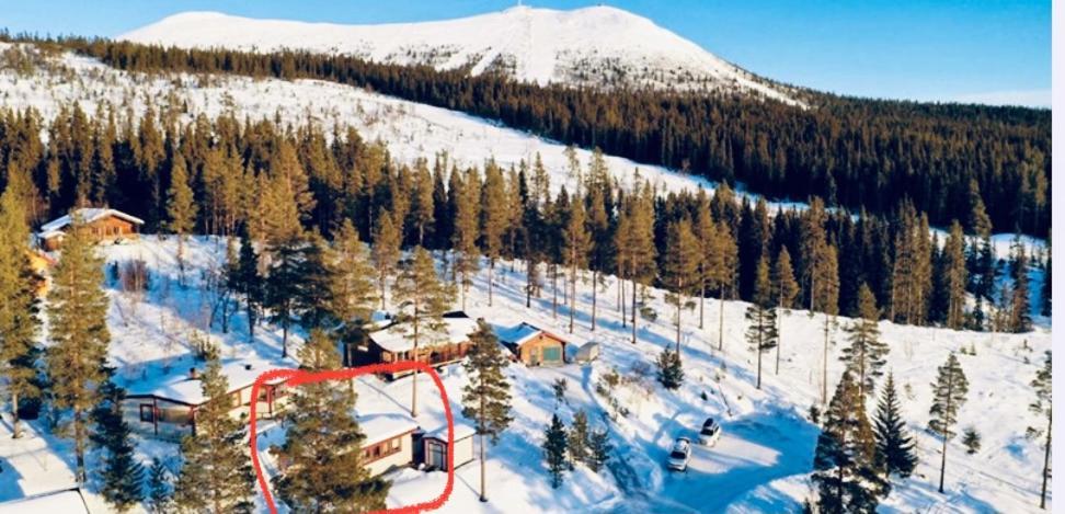1125 Fjaellstugan Holiday home