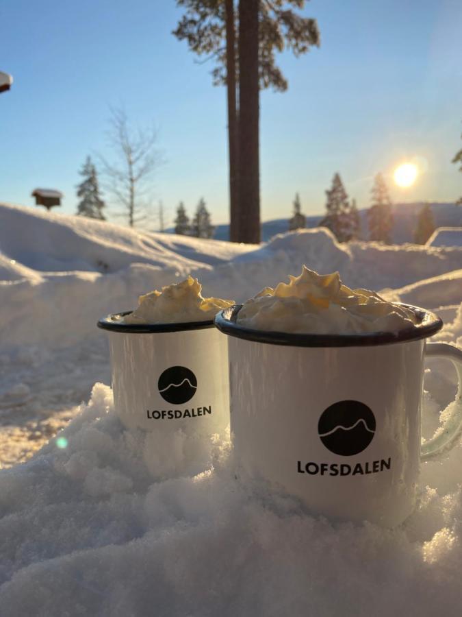 1125 Fjaellstugan Lofsdalen