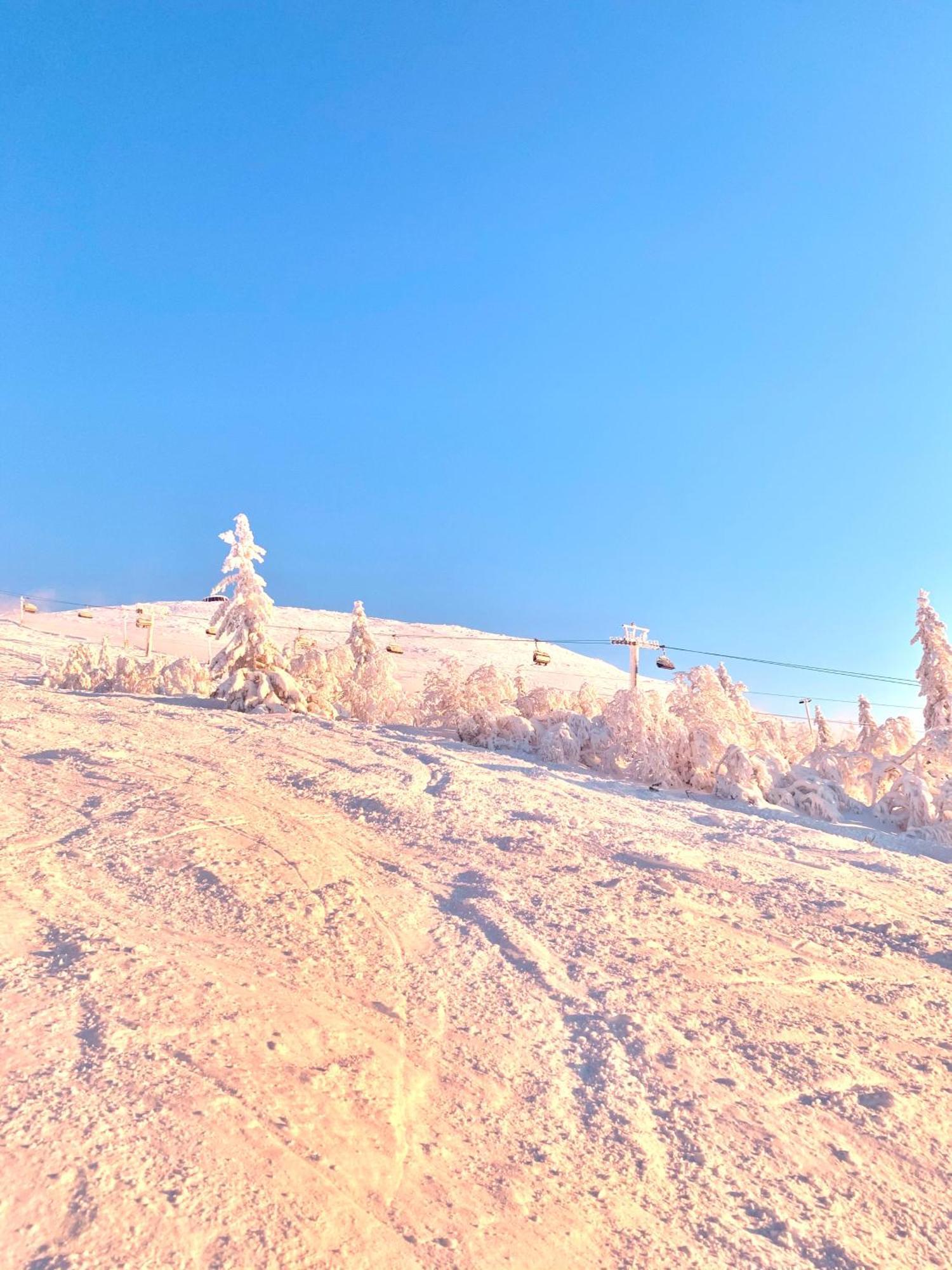 1125 Fjaellstugan * Lofsdalen
