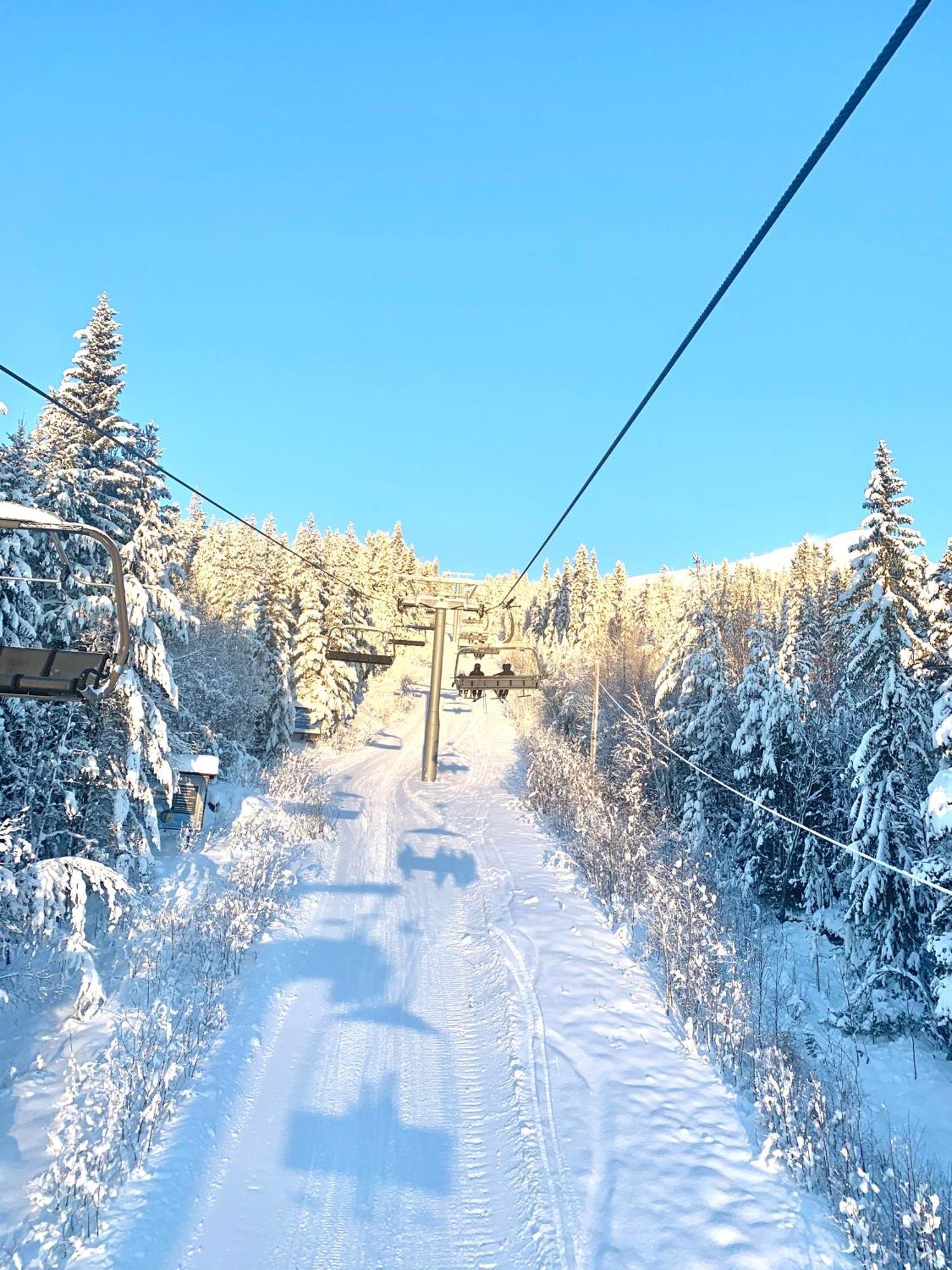 1125 Fjaellstugan * Lofsdalen
